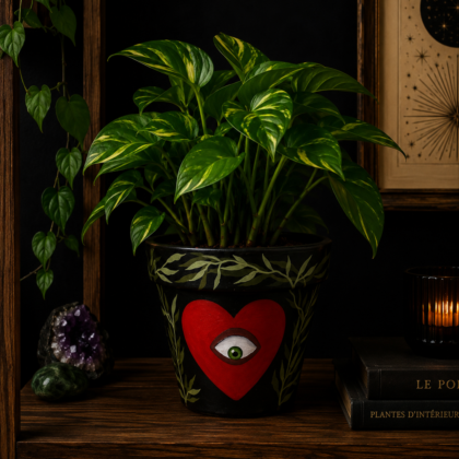 Pot Midnight Heart
